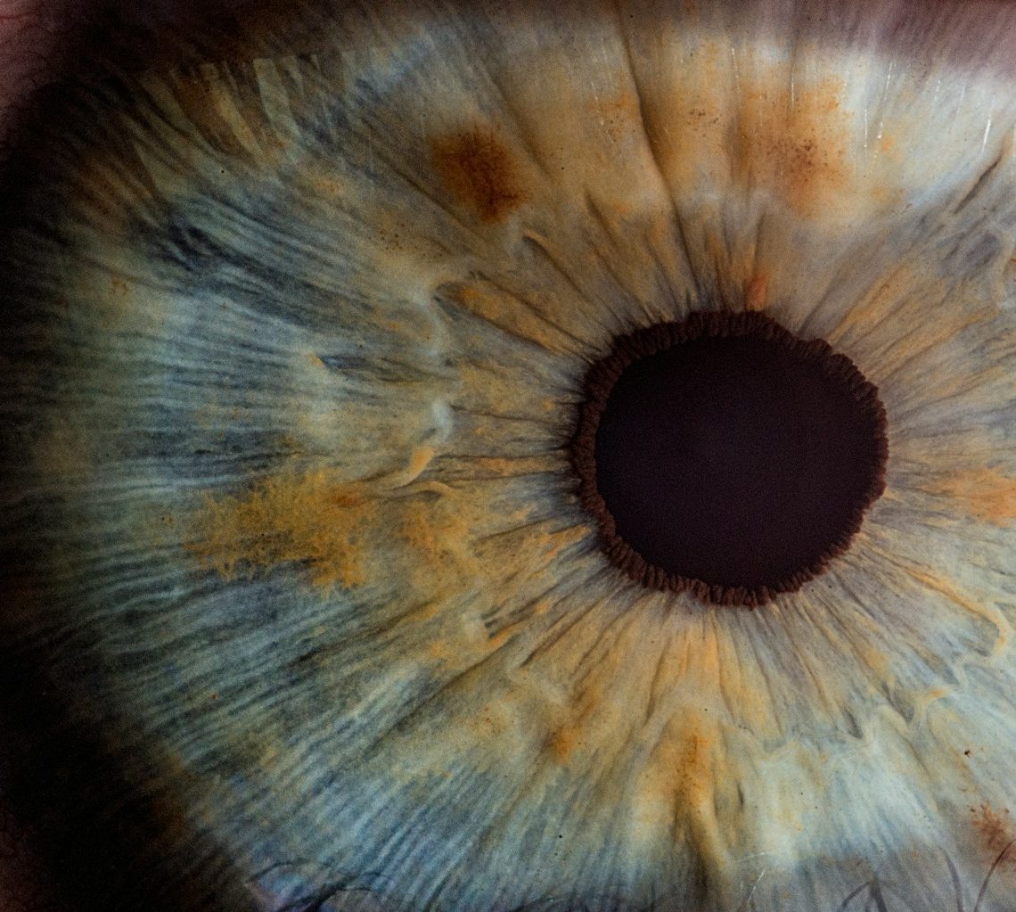 macro photography of human eye